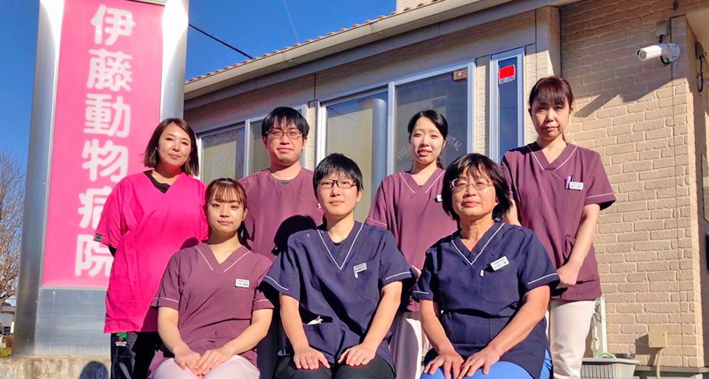 伊藤動物病院 野田分院